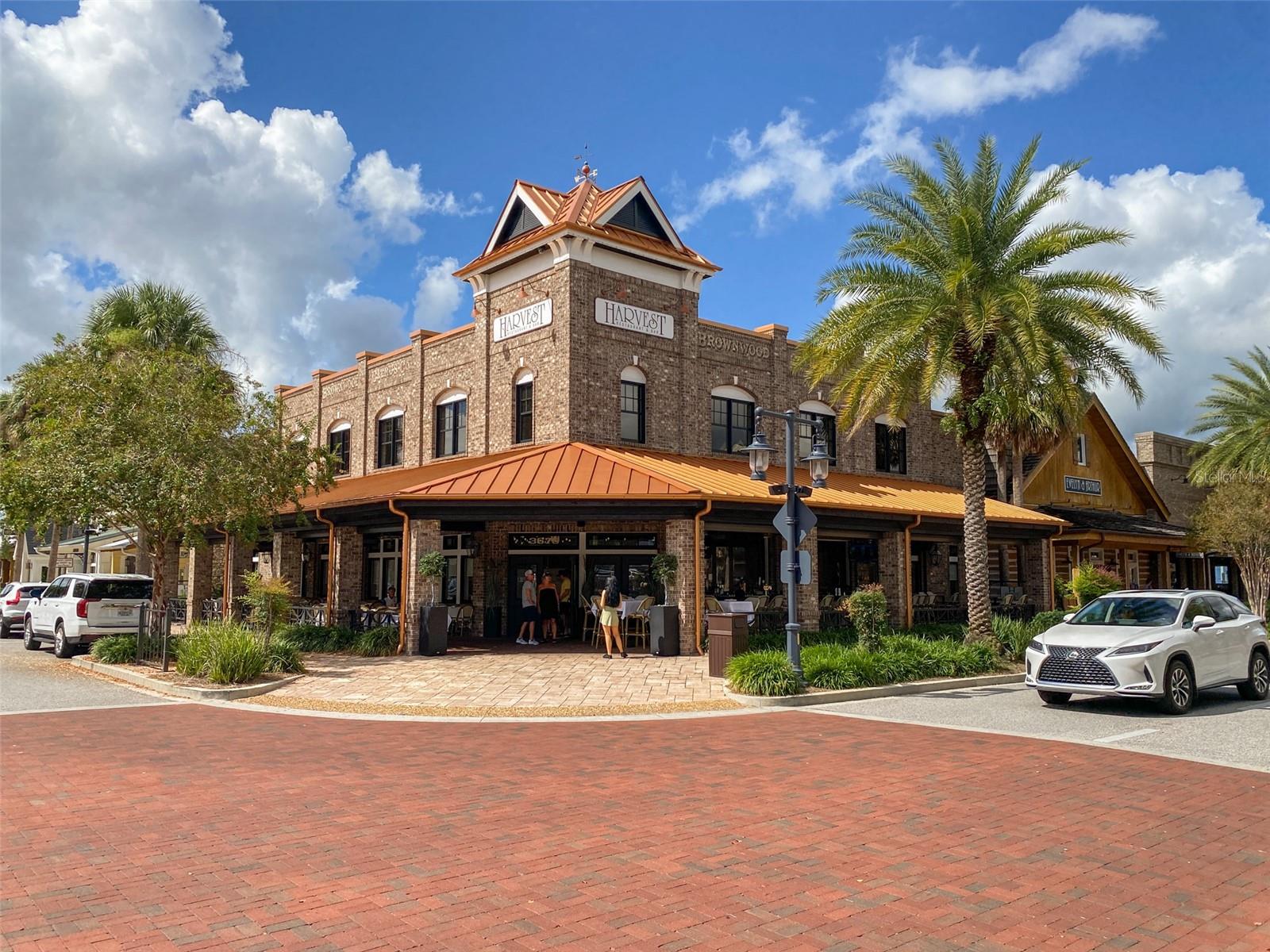 3009 OLENDA DR, THE VILLAGES, FL, 32163