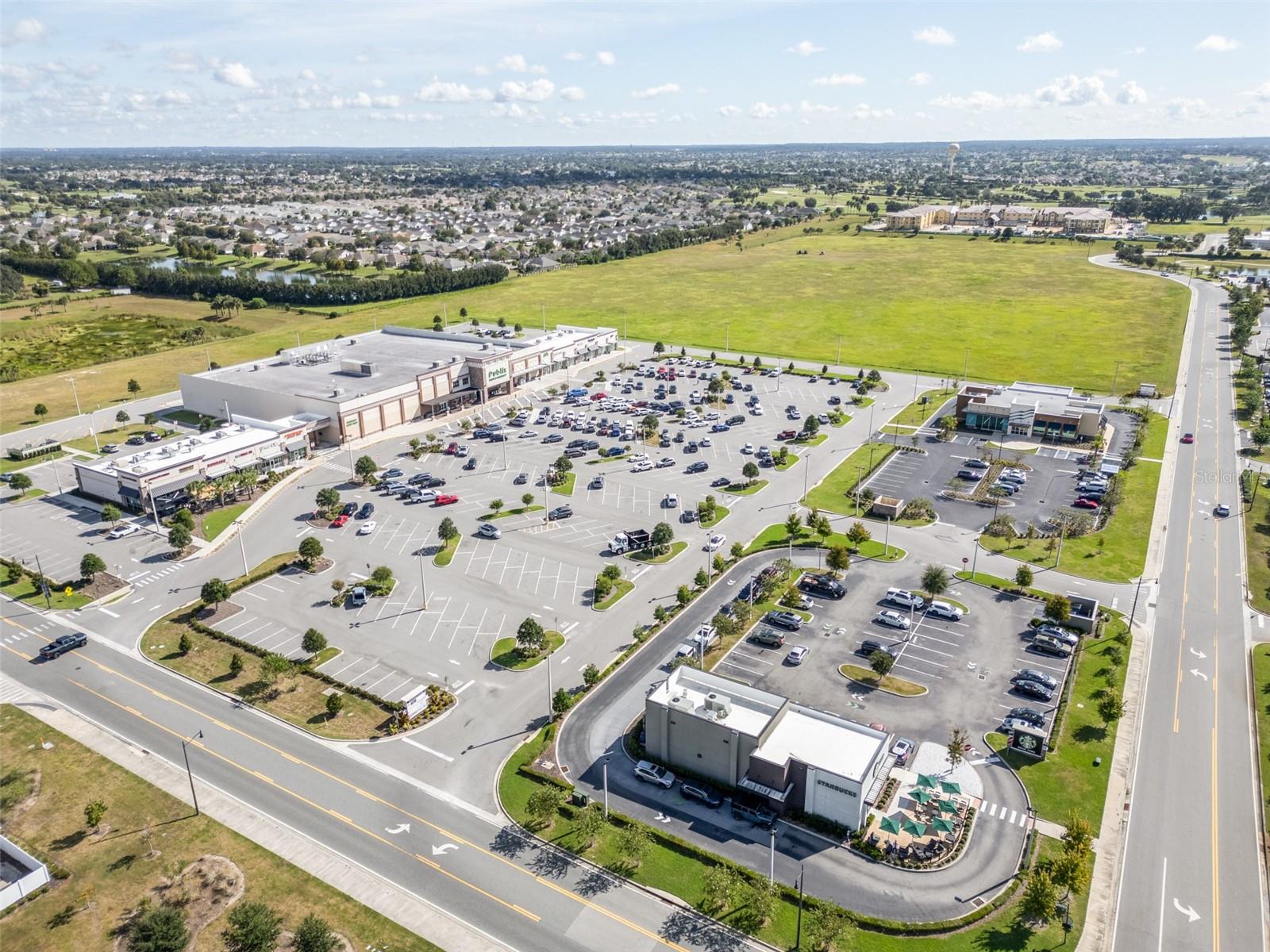 3009 OLENDA DR, THE VILLAGES, FL, 32163