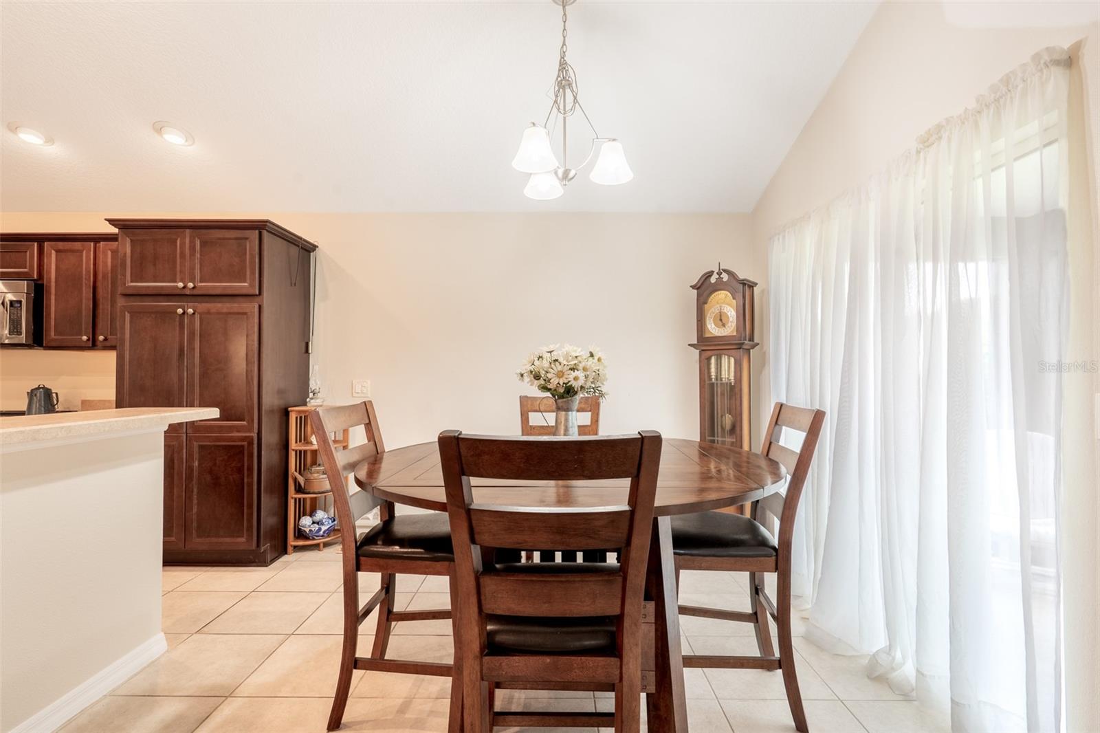 3009 OLENDA DR, THE VILLAGES, FL, 32163