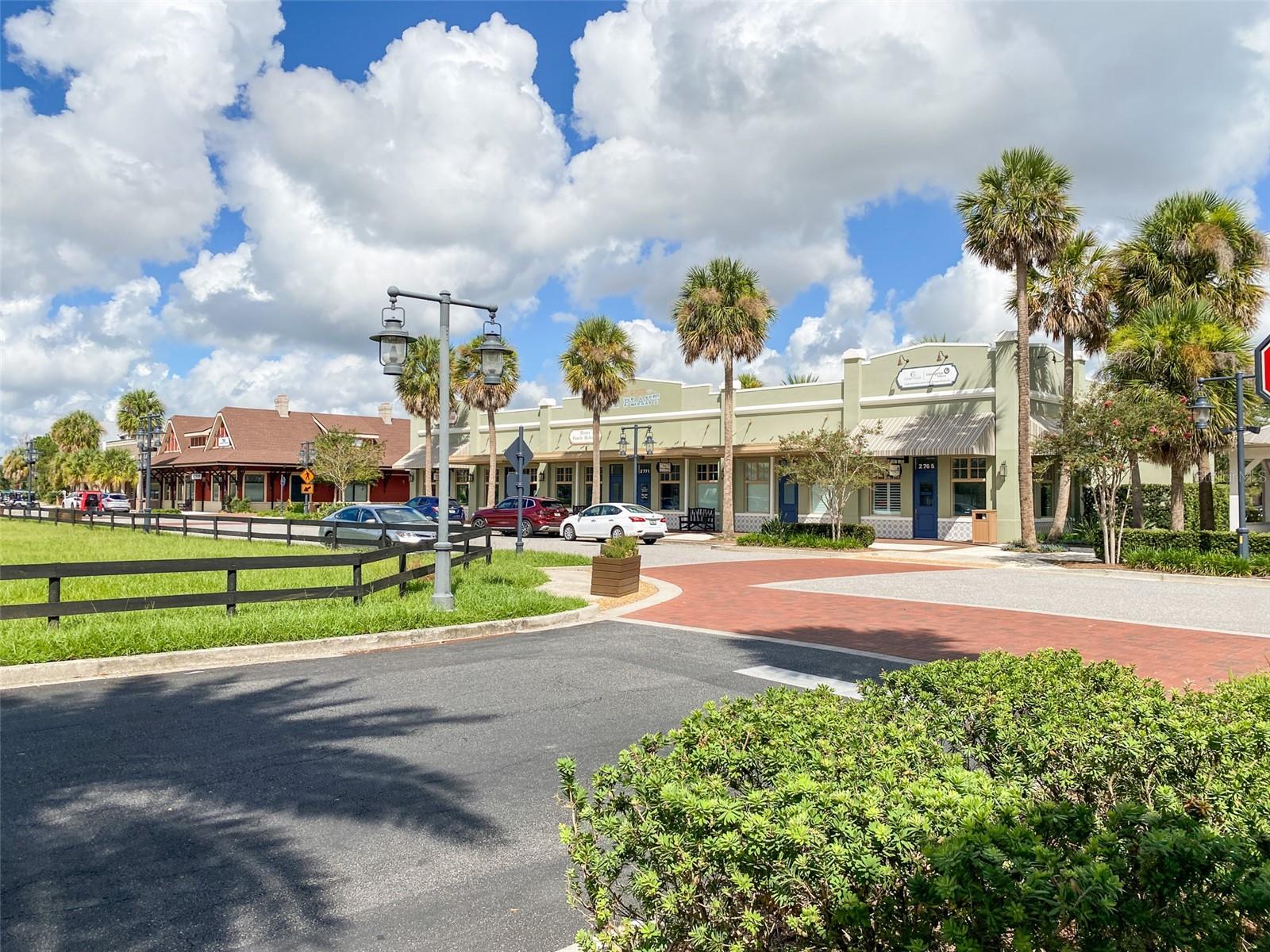 3009 OLENDA DR, THE VILLAGES, FL, 32163