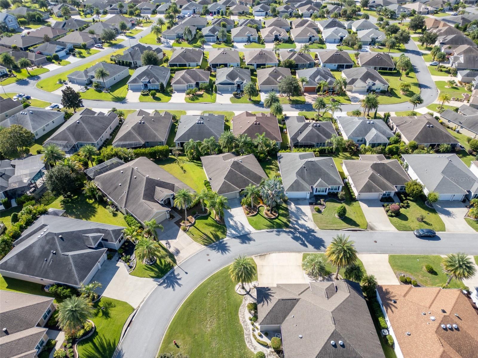 3009 OLENDA DR, THE VILLAGES, FL, 32163