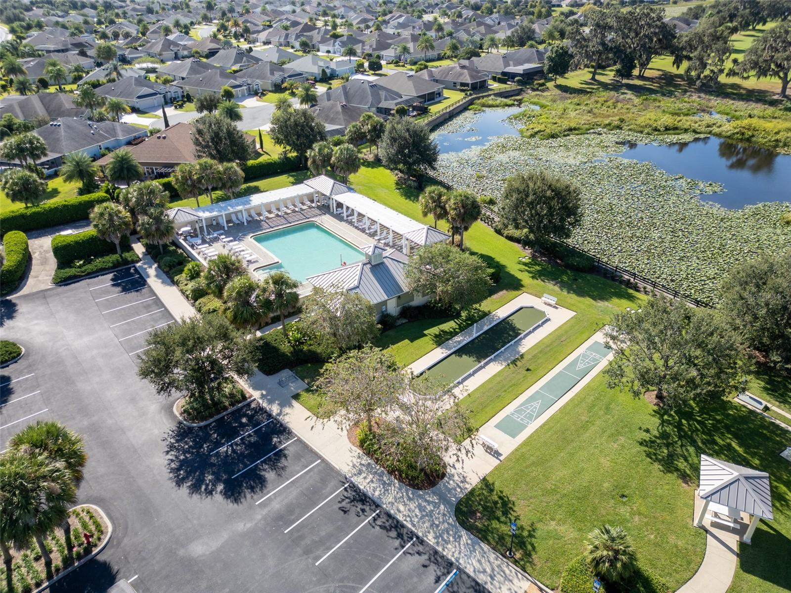 3009 OLENDA DR, THE VILLAGES, FL, 32163