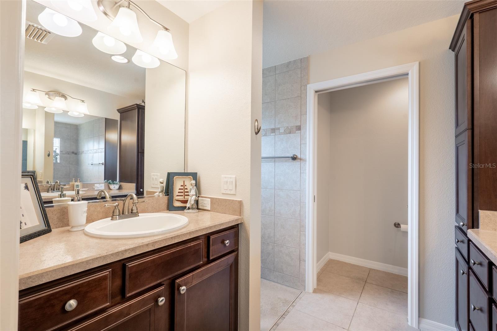 3009 OLENDA DR, THE VILLAGES, FL, 32163