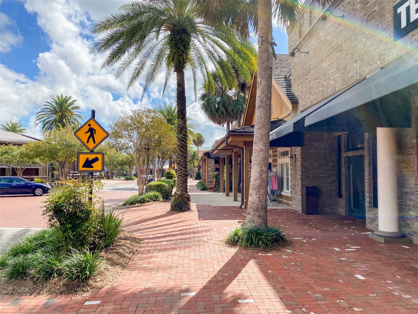 3009 OLENDA DR, THE VILLAGES, FL, 32163