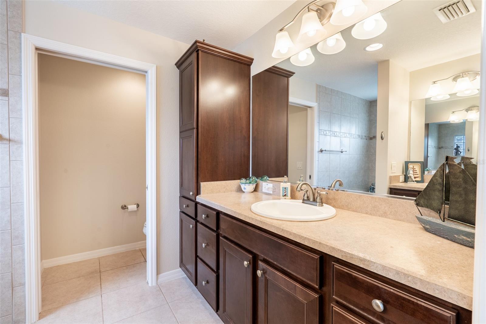 3009 OLENDA DR, THE VILLAGES, FL, 32163