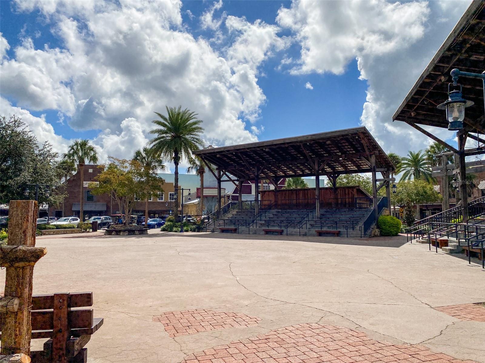 3009 OLENDA DR, THE VILLAGES, FL, 32163