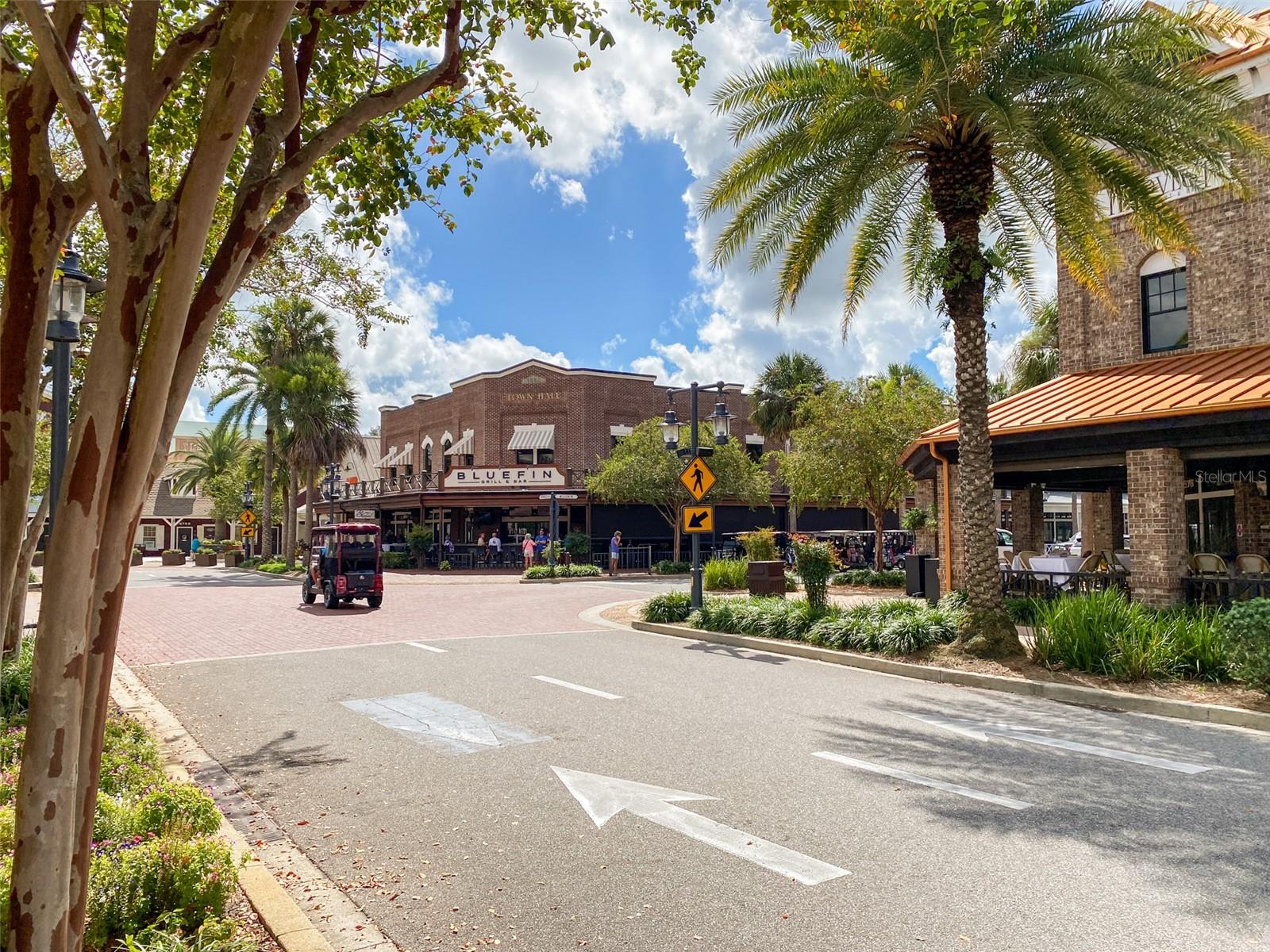 3009 OLENDA DR, THE VILLAGES, FL, 32163