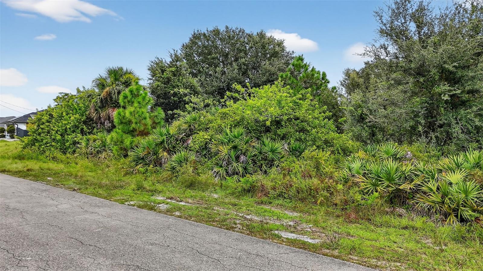 851 WOLVERINE ST E, LEHIGH ACRES, FL, 33974