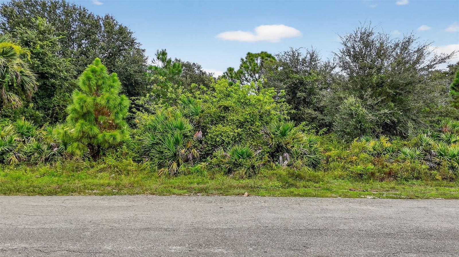 851 WOLVERINE ST E, LEHIGH ACRES, FL, 33974