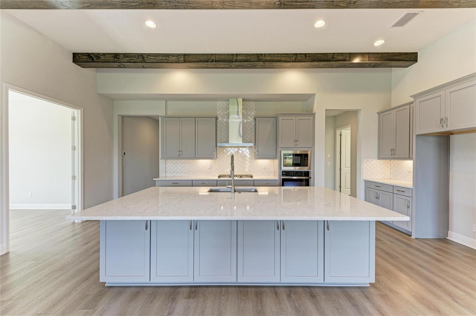 14948 RIDER PASS DR, LITHIA, FL, 33547