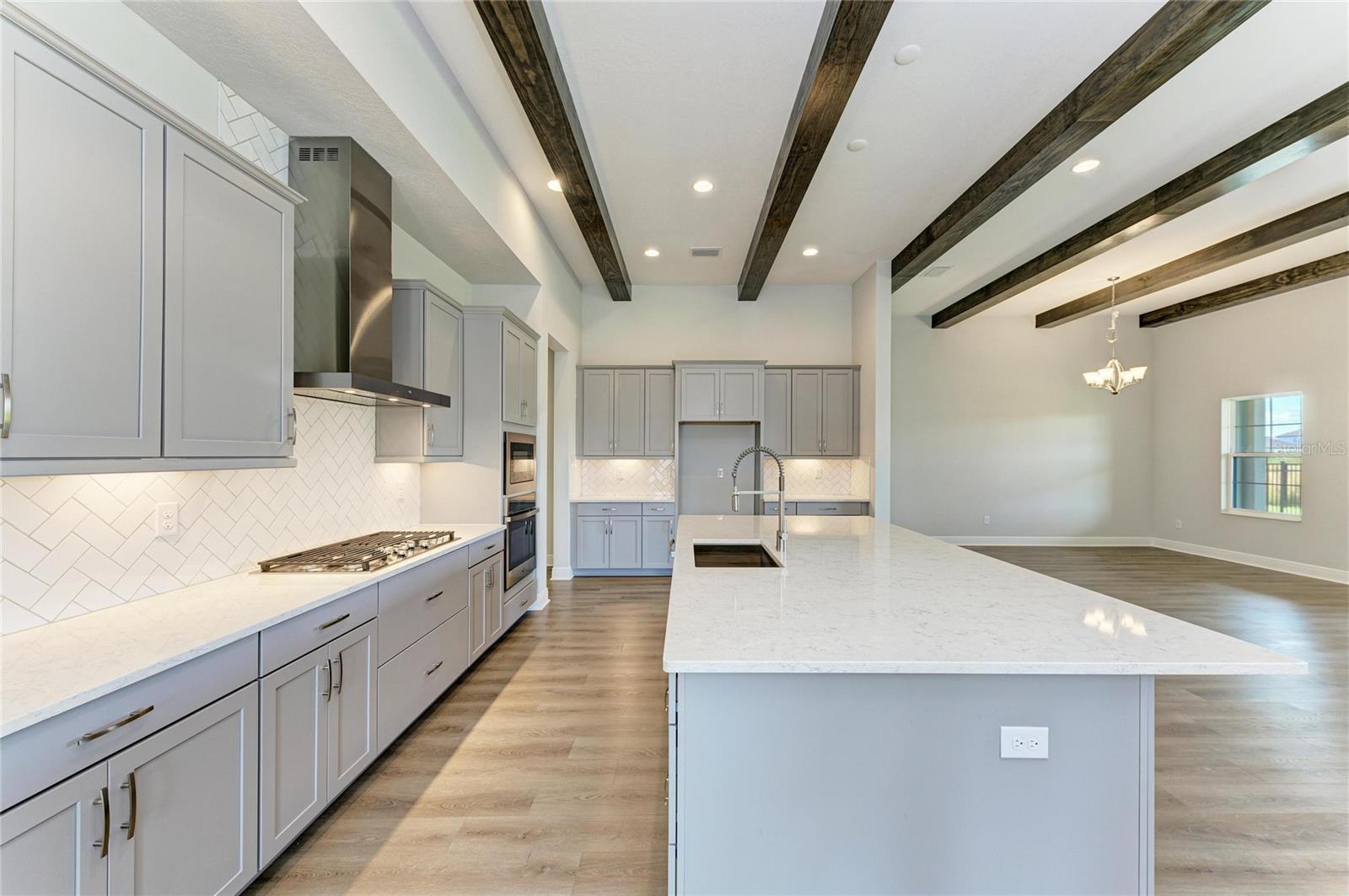 14948 RIDER PASS DR, LITHIA, FL, 33547