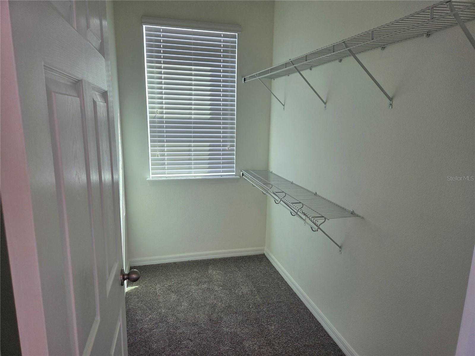 8359 LOOKOUT POINTE DR, WINDERMERE, FL, 34786