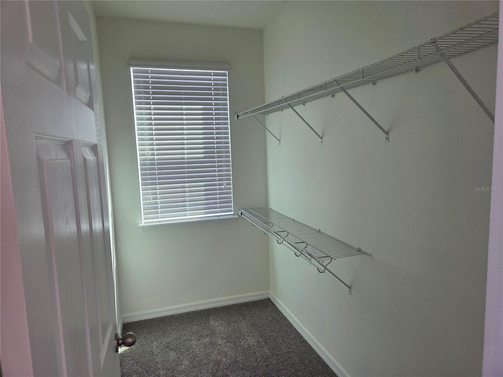 8359 LOOKOUT POINTE DR, WINDERMERE, FL, 34786