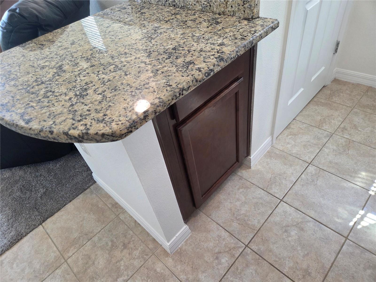 8359 LOOKOUT POINTE DR, WINDERMERE, FL, 34786