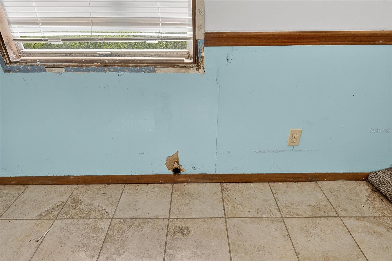 311 S WEBB RD, PLANT CITY, FL, 33566