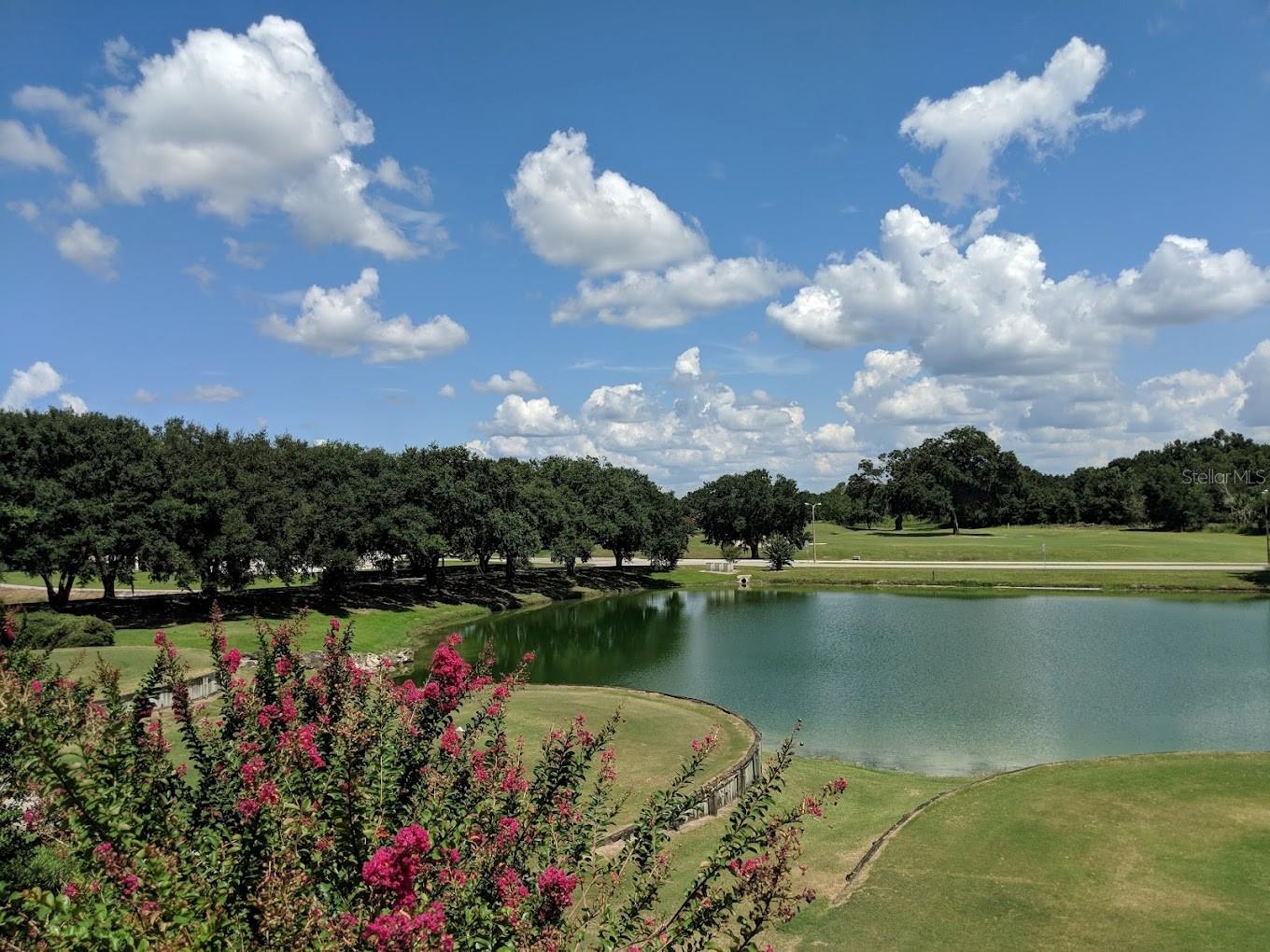 30919 WATER LILY DR, BROOKSVILLE, FL, 34602