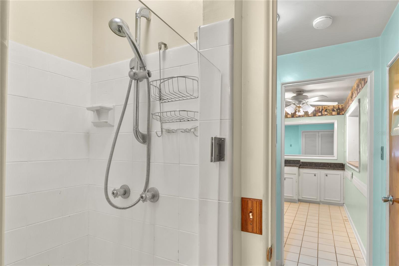 1734 NORMANDY DR, MOUNT DORA, FL, 32757