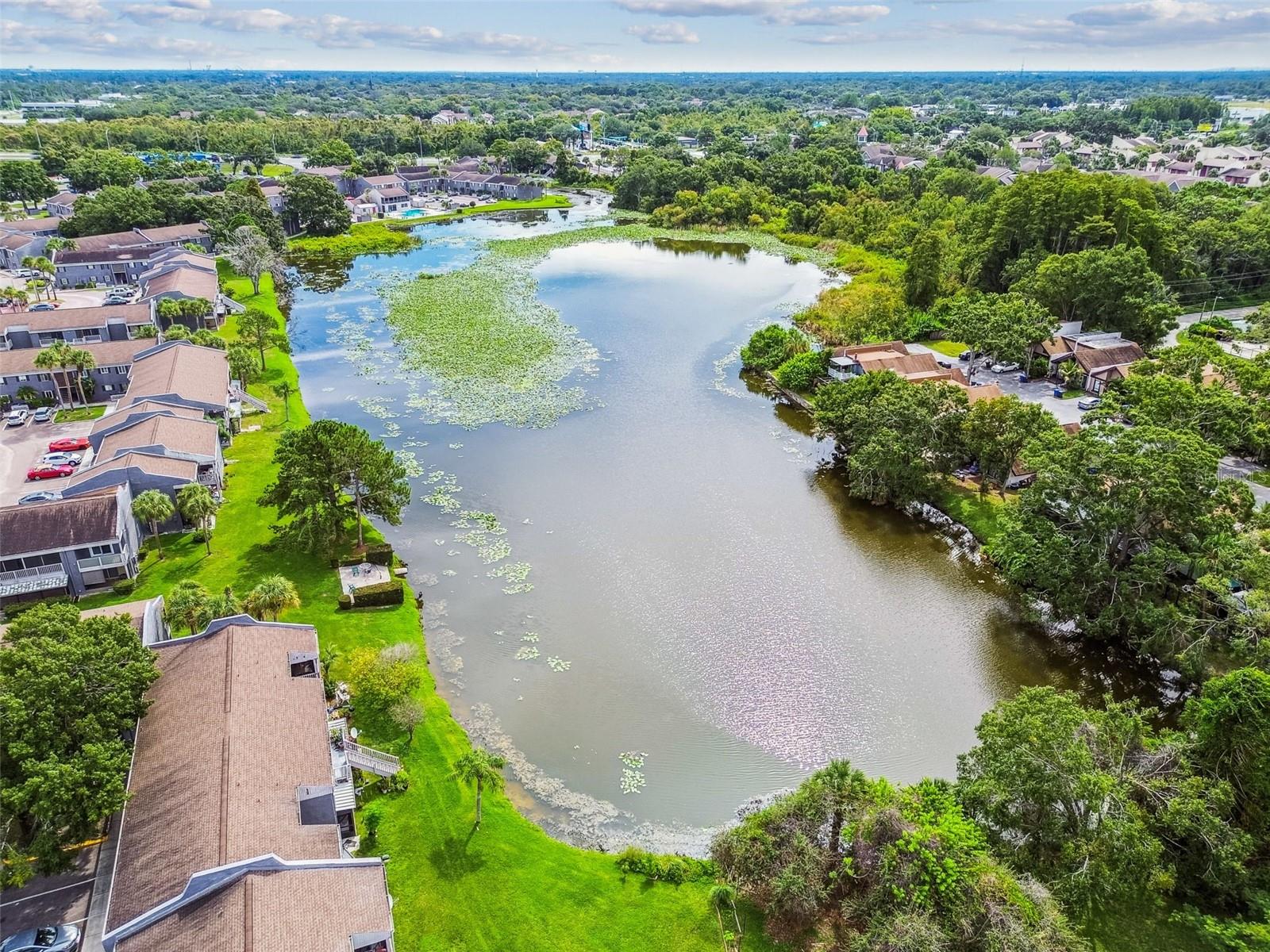 4036 CORTEZ DR #A, TAMPA, FL, 33614