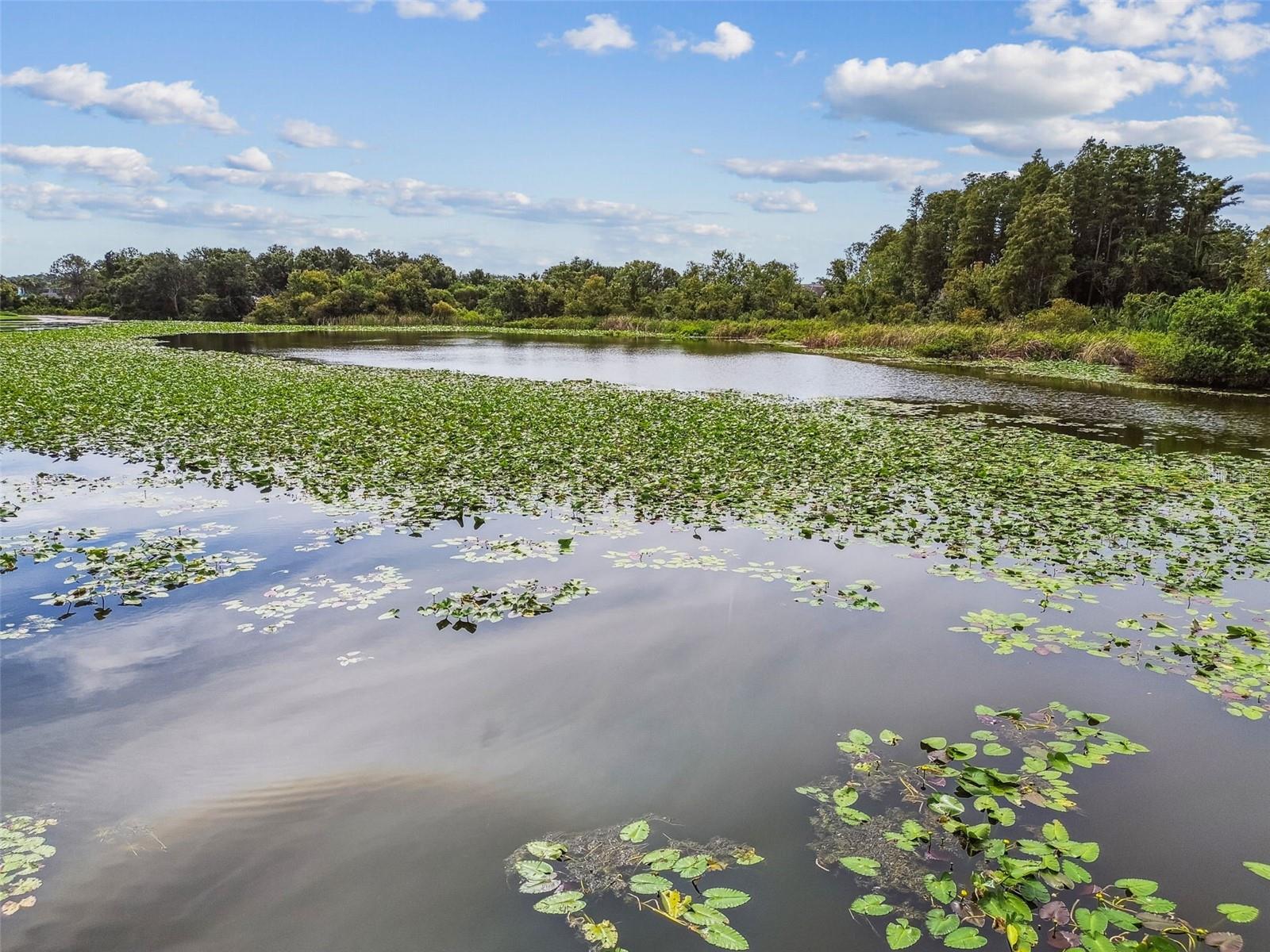 4036 CORTEZ DR #A, TAMPA, FL, 33614