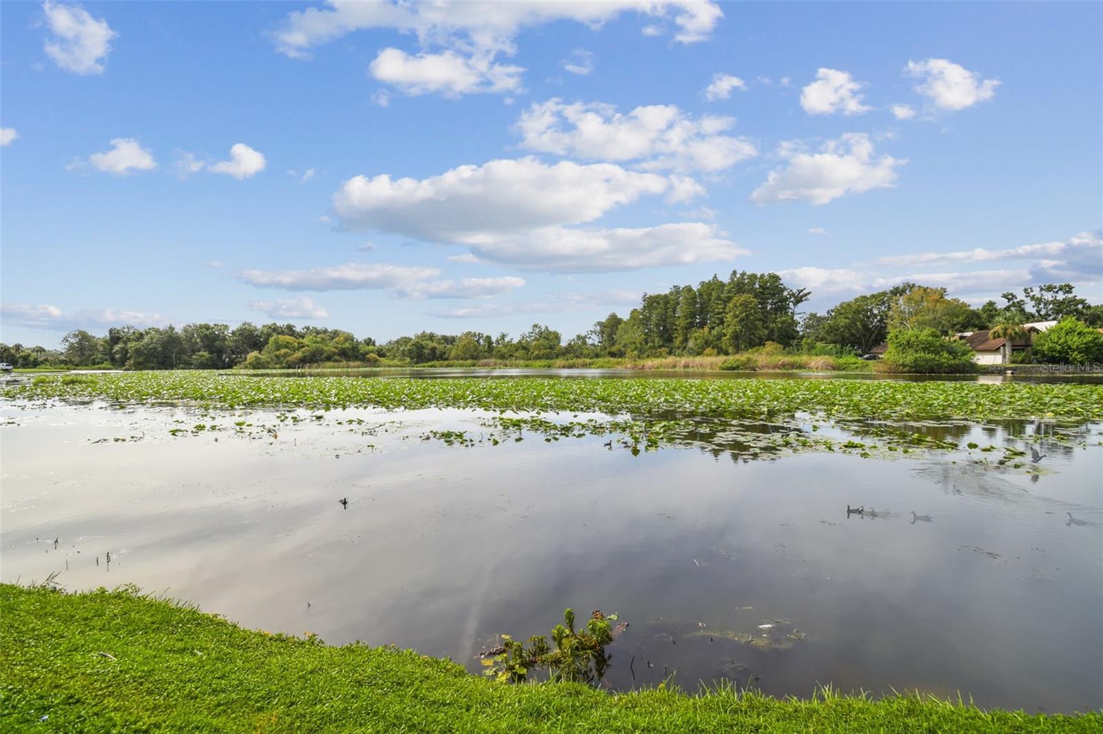 4036 CORTEZ DR #A, TAMPA, FL, 33614