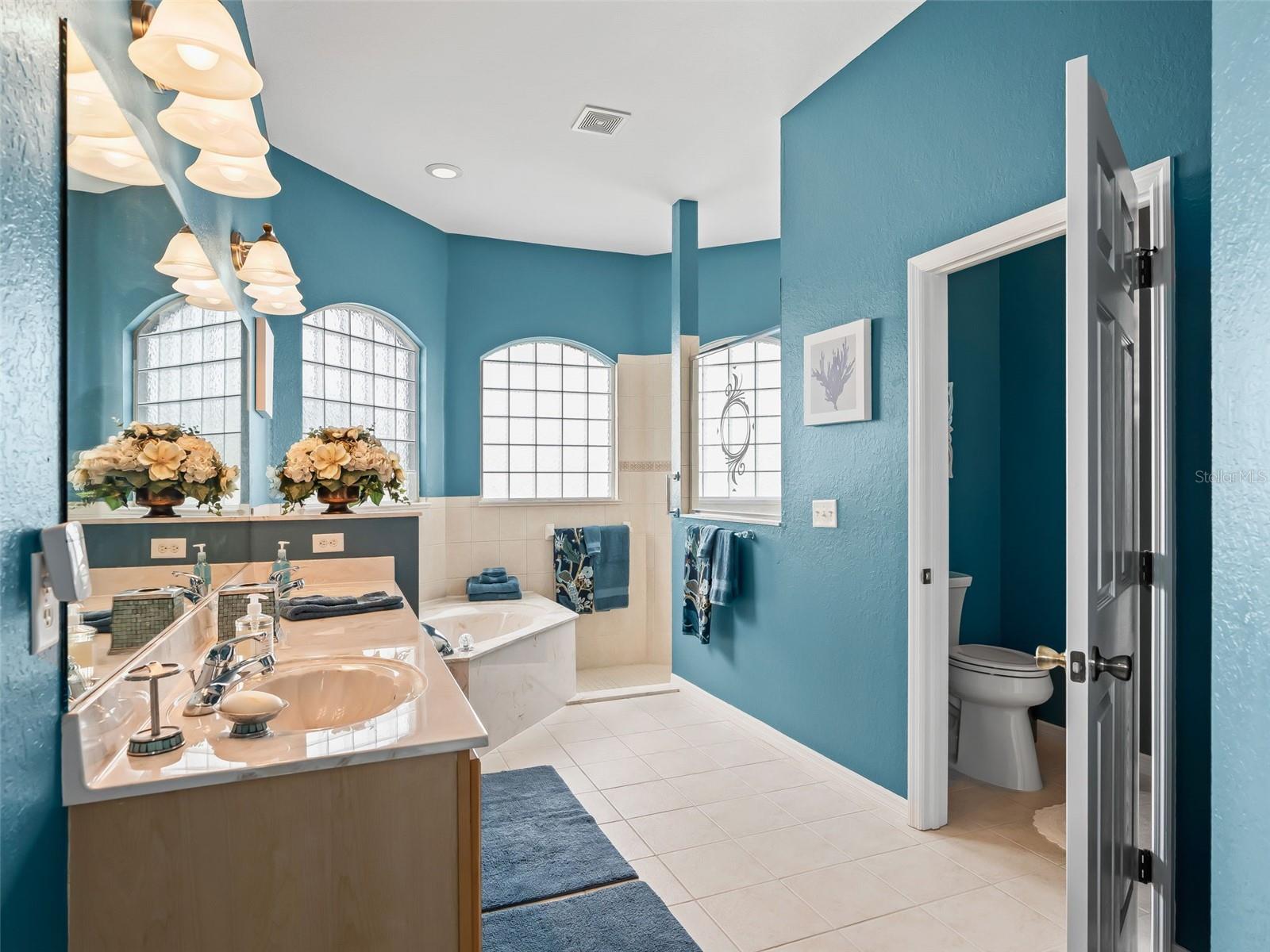 12163 SE 176TH LOOP, SUMMERFIELD, FL, 34491