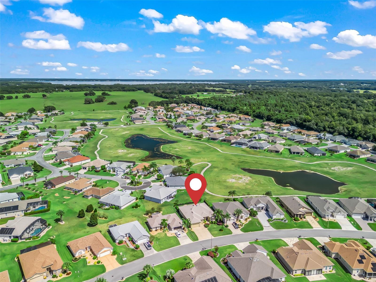 12163 SE 176TH LOOP, SUMMERFIELD, FL, 34491