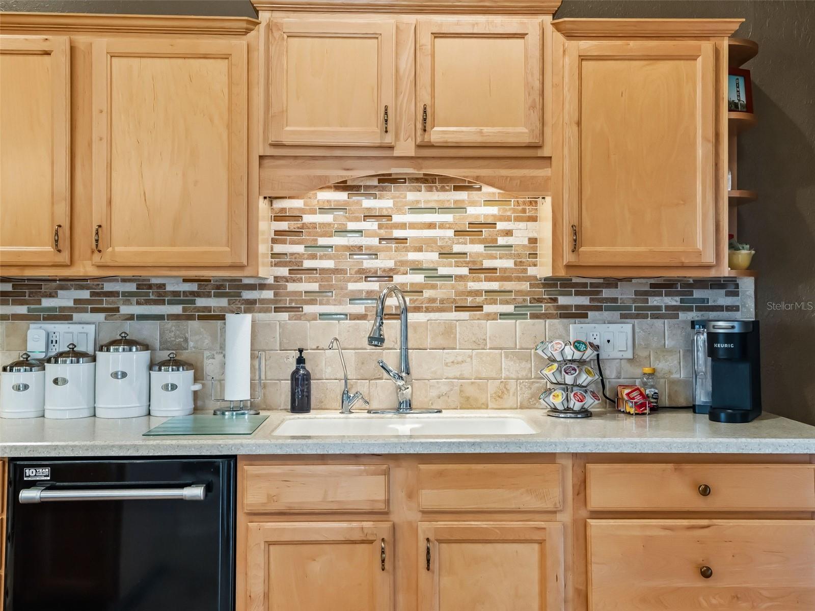 12163 SE 176TH LOOP, SUMMERFIELD, FL, 34491