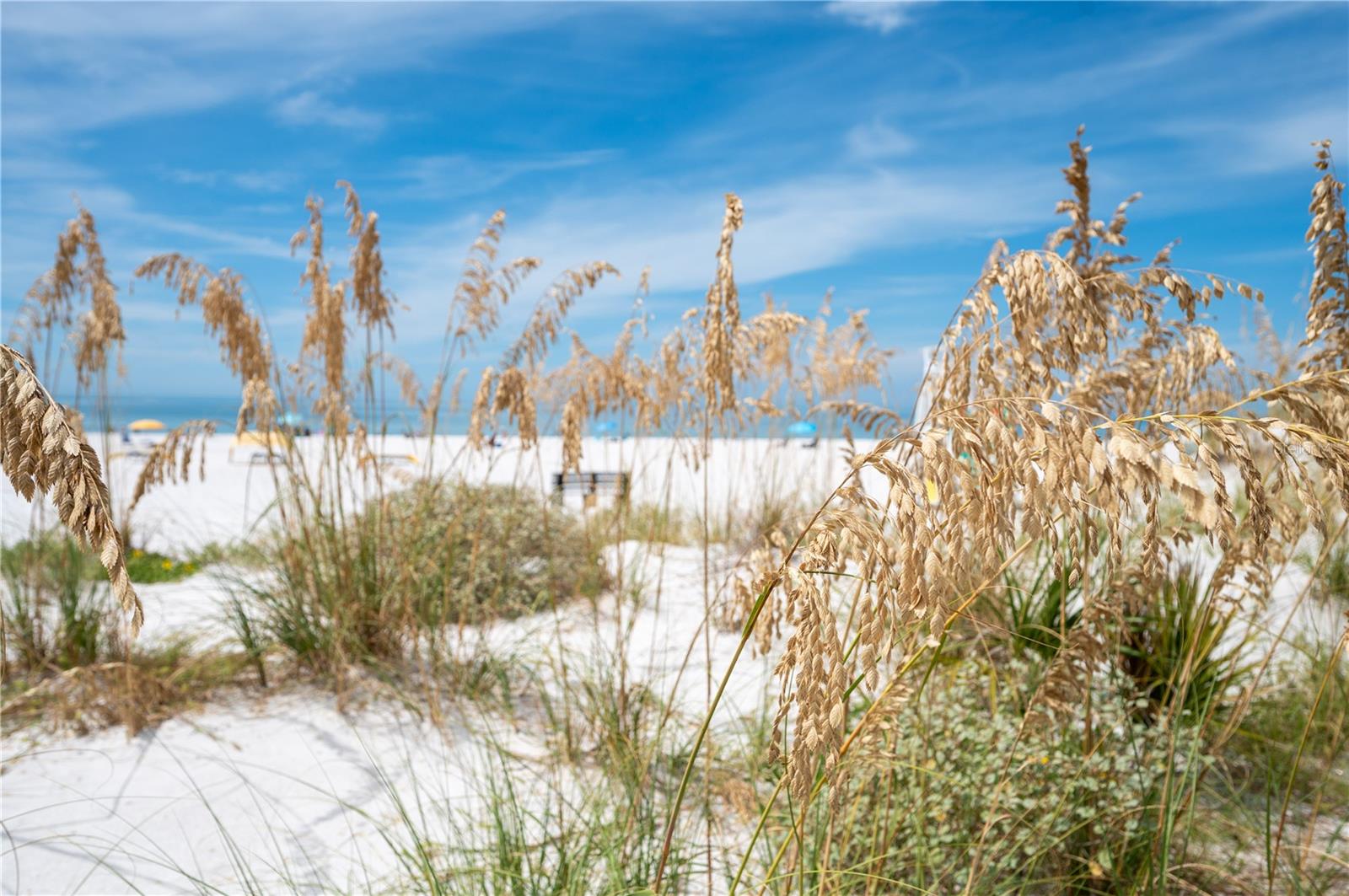 1703 12TH ST S, ST PETERSBURG, FL, 33705