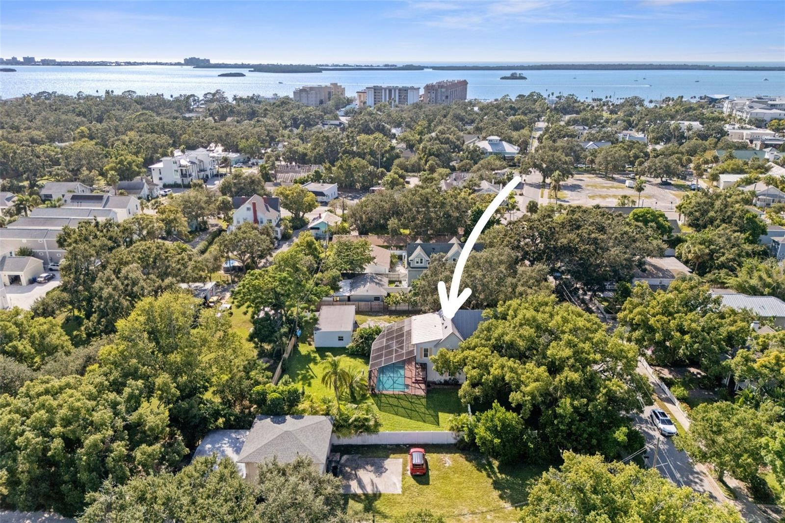 429 SCOTLAND ST, DUNEDIN, FL, 34698