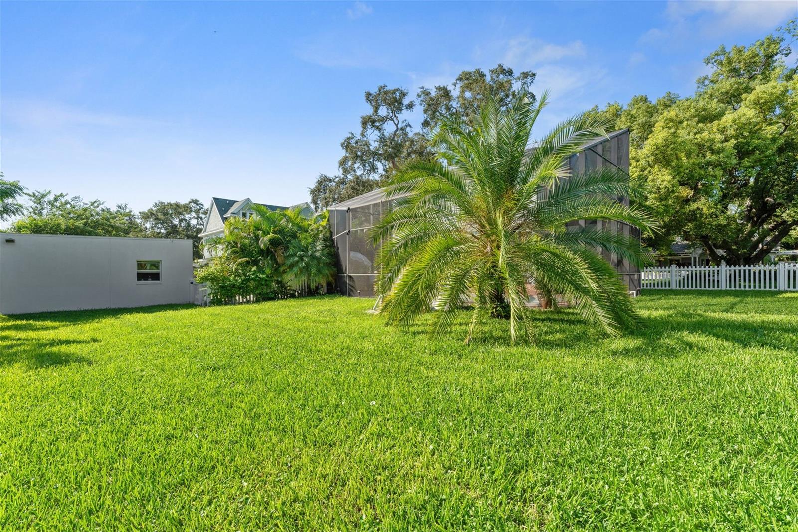 429 SCOTLAND ST, DUNEDIN, FL, 34698