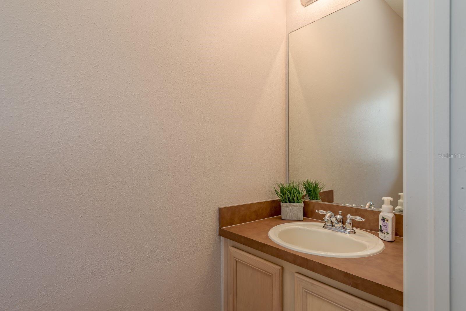 20324 NOBLE OAK PL, TAMPA, FL, 33647