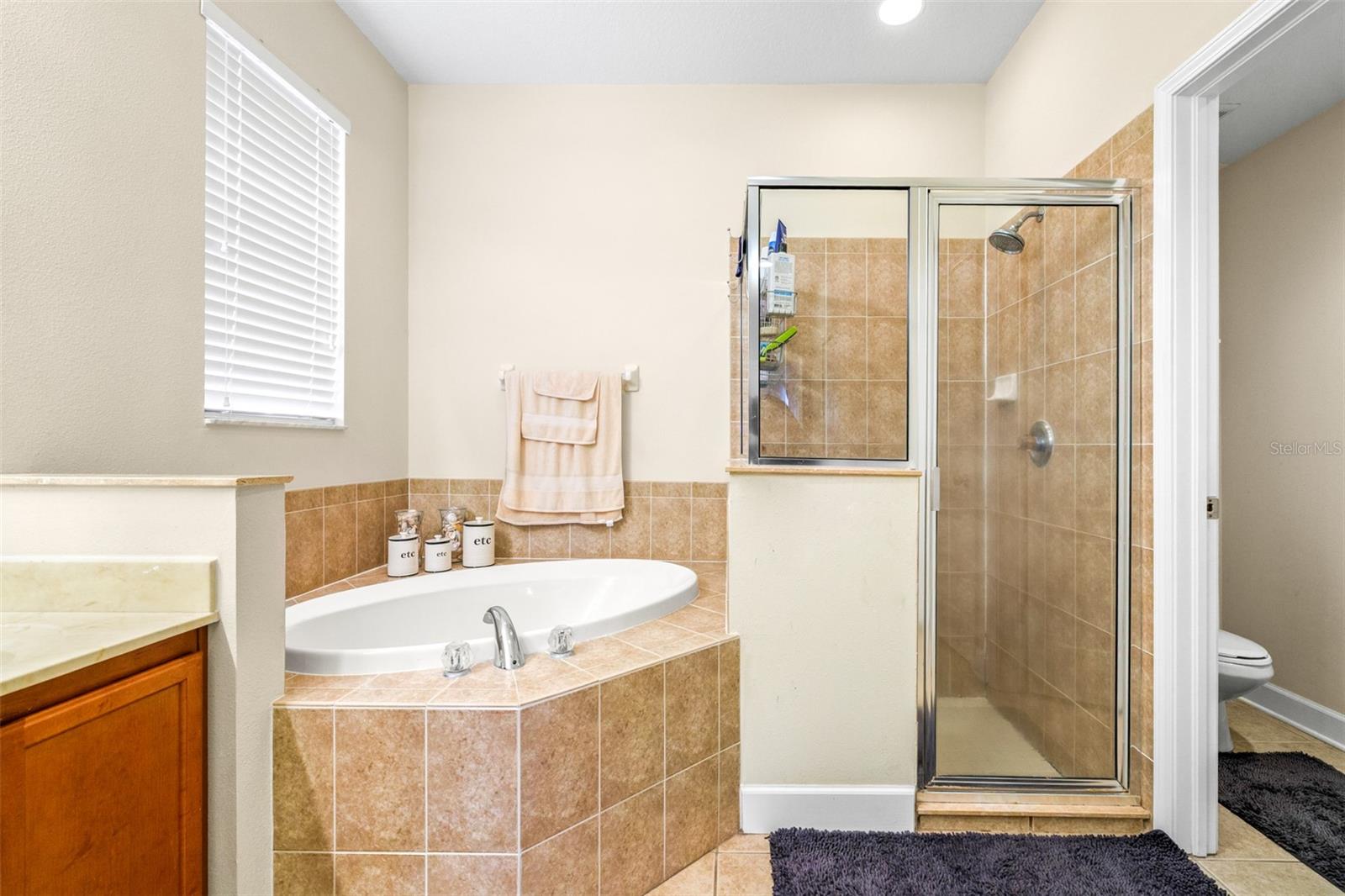 11590 WESTON COURSE LOOP, RIVERVIEW, FL, 33579