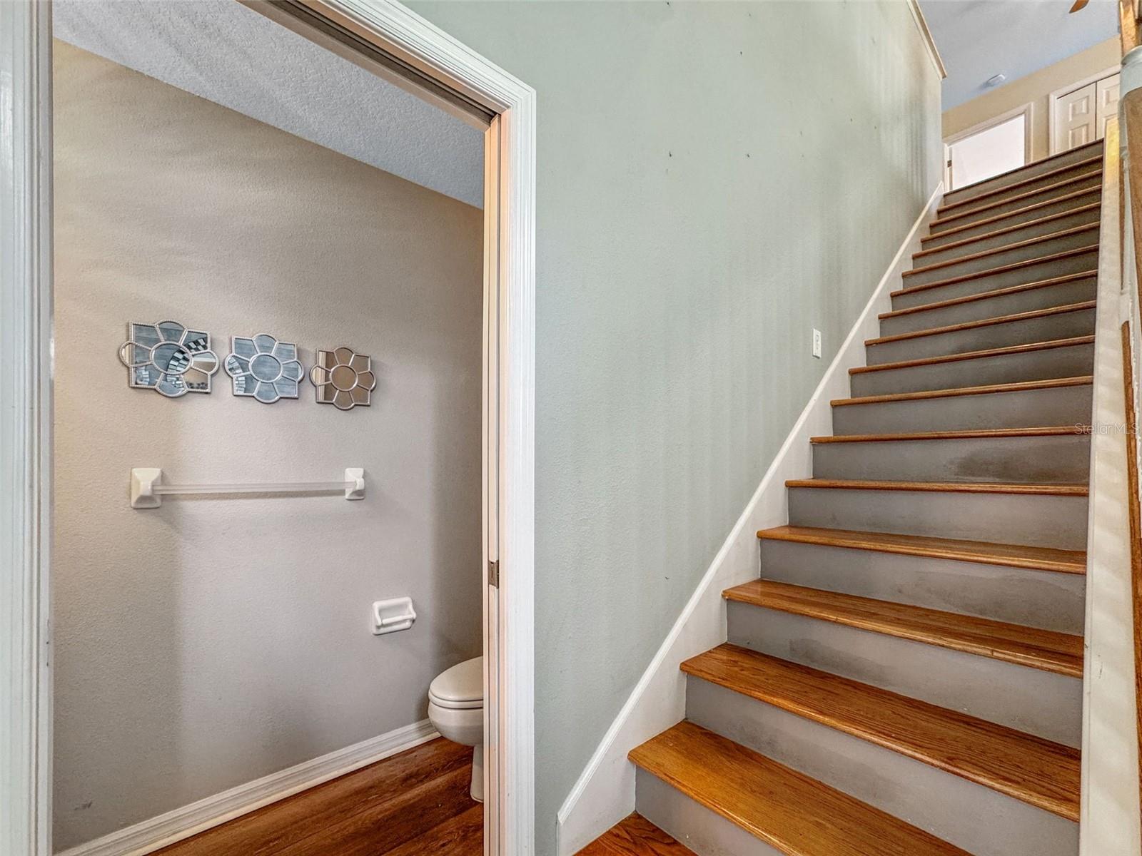 1609 FIELDFARE CT, DUNEDIN, FL, 34698