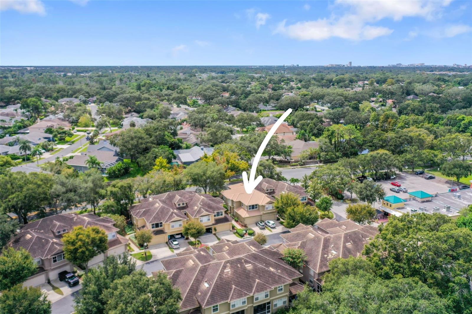 1609 FIELDFARE CT, DUNEDIN, FL, 34698