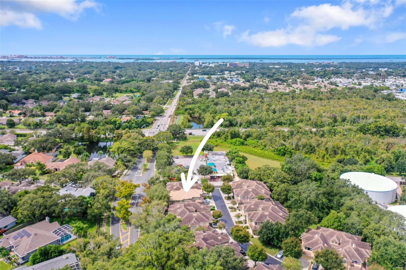 1609 FIELDFARE CT, DUNEDIN, FL, 34698