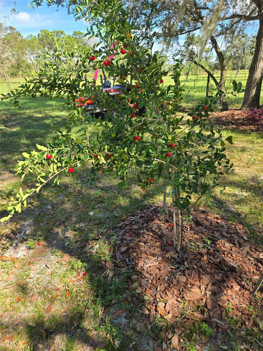 885 LAKE MARIAN RD, KENANSVILLE, FL, 34739