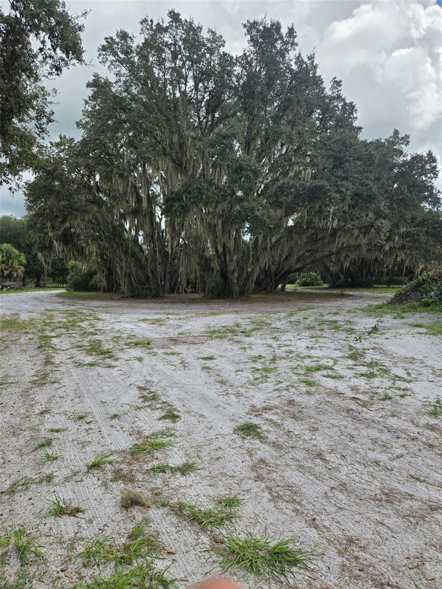 885 LAKE MARIAN RD, KENANSVILLE, FL, 34739