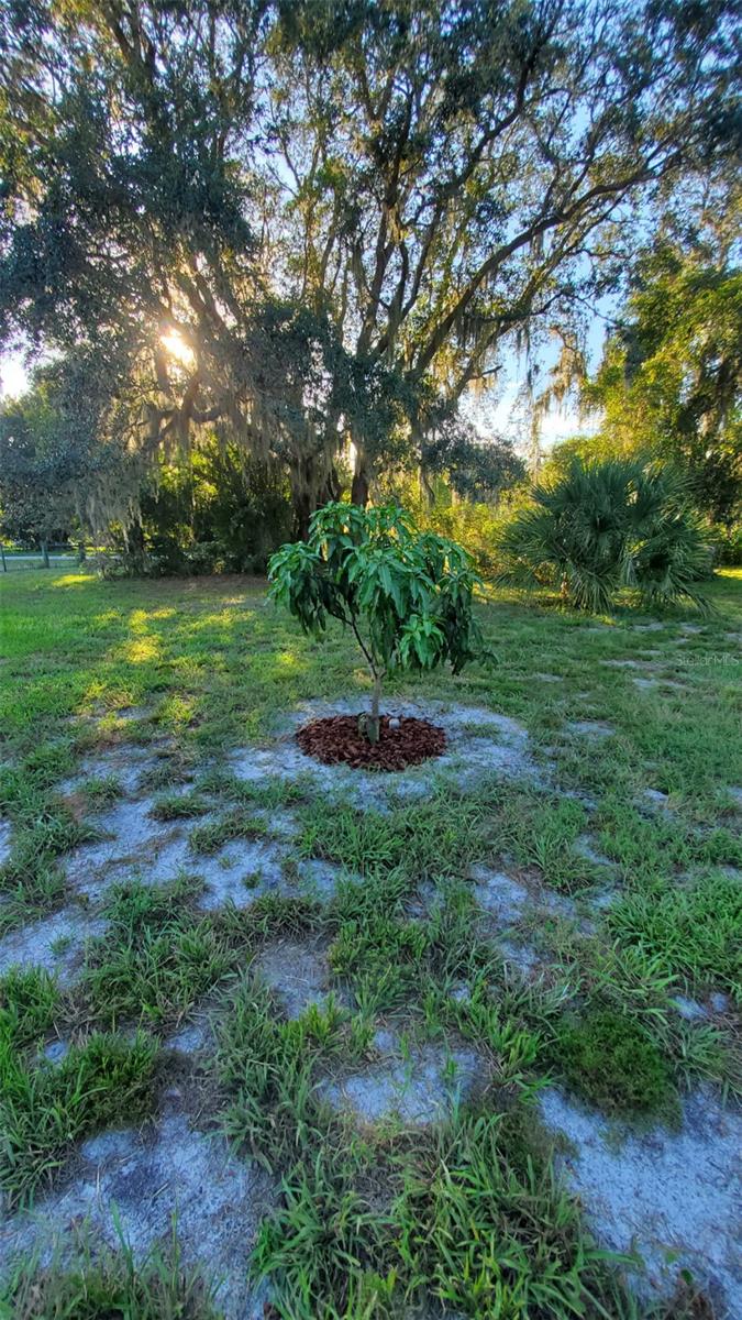 885 LAKE MARIAN RD, KENANSVILLE, FL, 34739