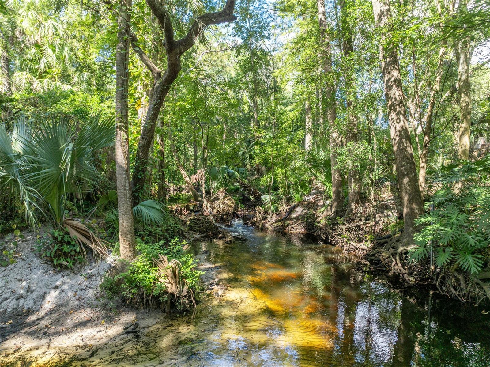 672 SILVER CREEK DR, WINTER SPRINGS, FL, 32708