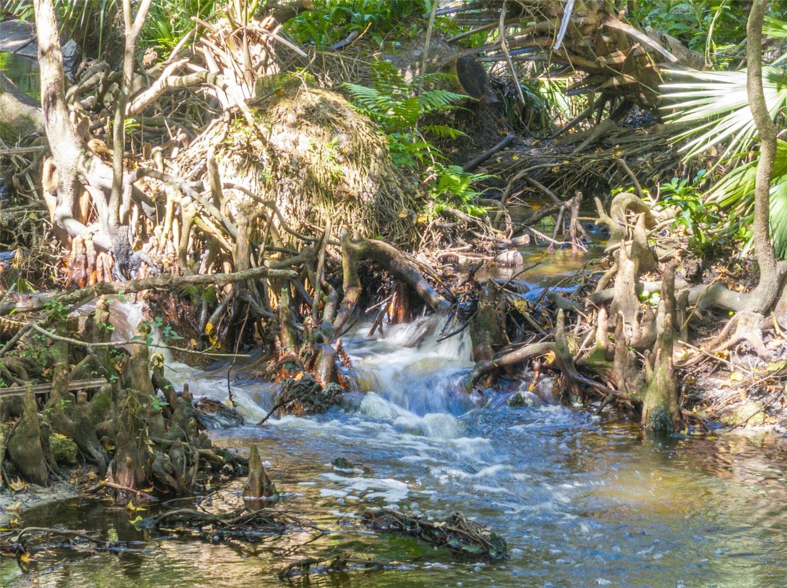 672 SILVER CREEK DR, WINTER SPRINGS, FL, 32708