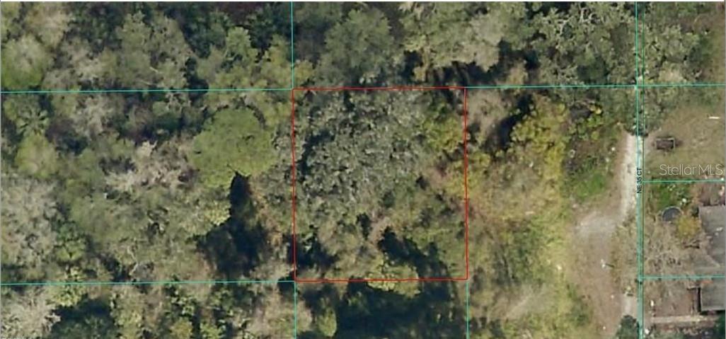 16649 NE 35TH AVE, CITRA, FL, 32113