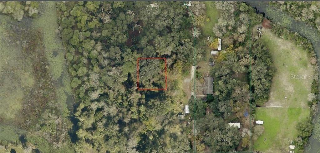 16649 NE 35TH AVE, CITRA, FL, 32113