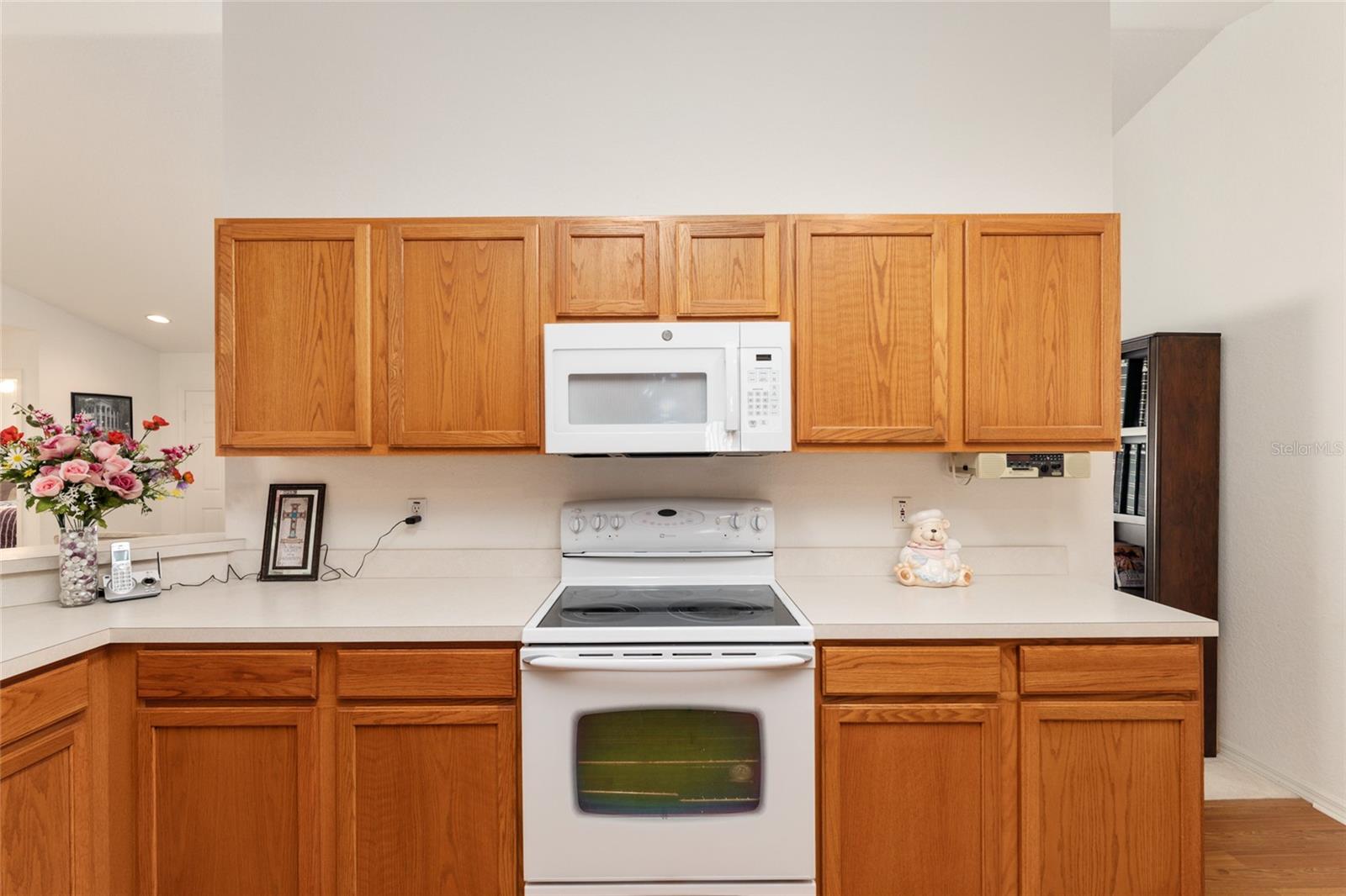 11587 SW 139TH PL, DUNNELLON, FL, 34432