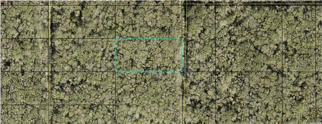 21-10-28-2775-00050-0177 RUTH AVE, HASTINGS, FL, 32145