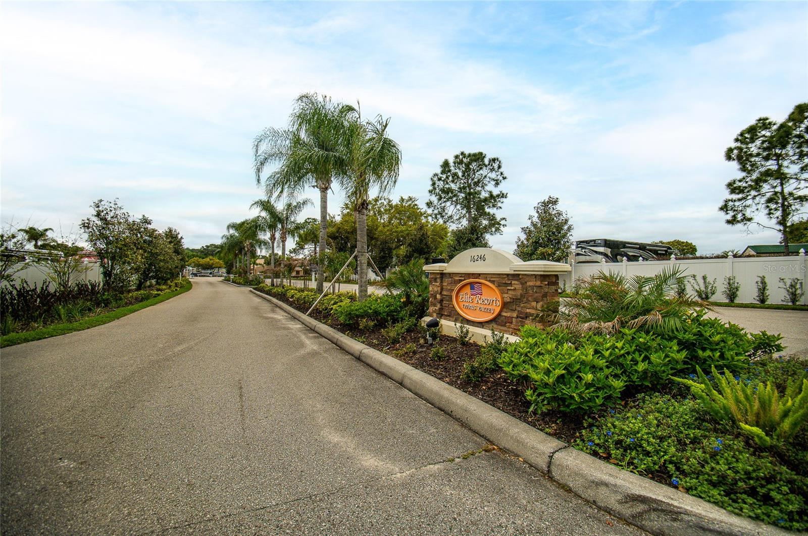 16357 CHERRY TREE CT, CLERMONT, FL, 34714