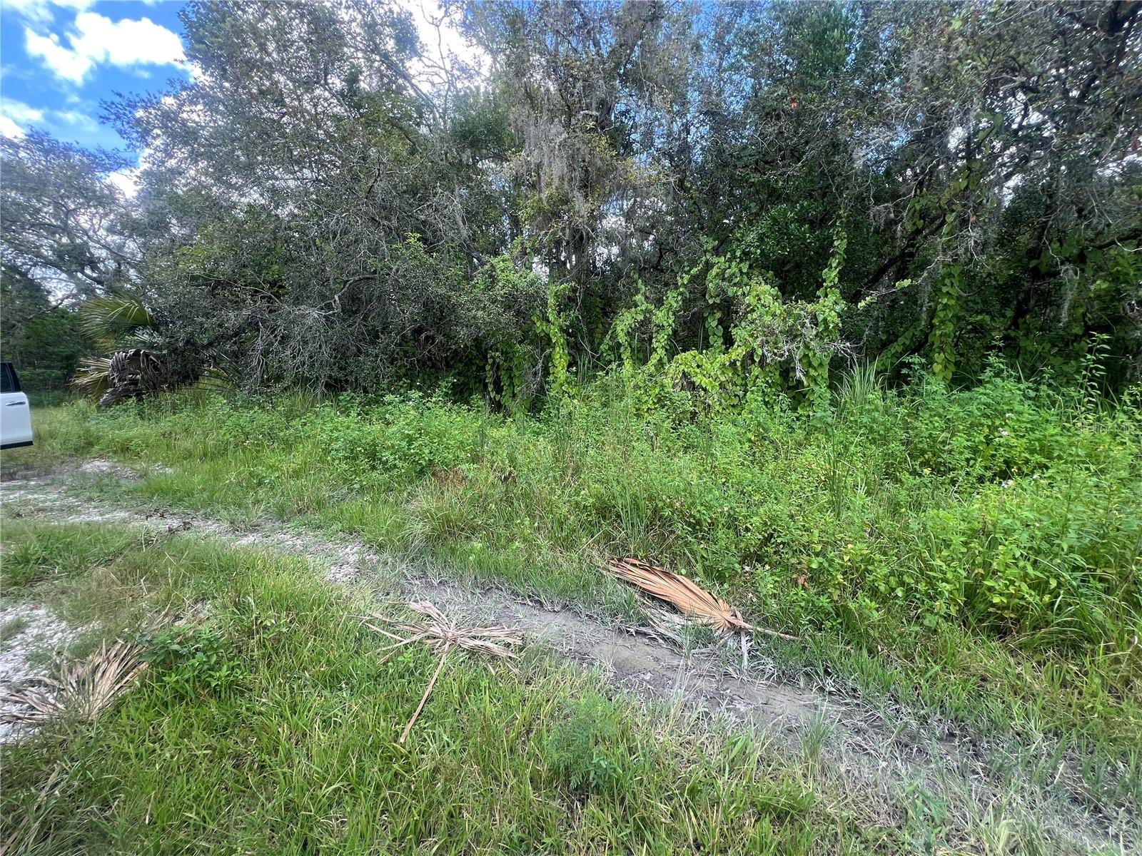 0 LADD AVE, NEW PORT RICHEY, FL, 34654