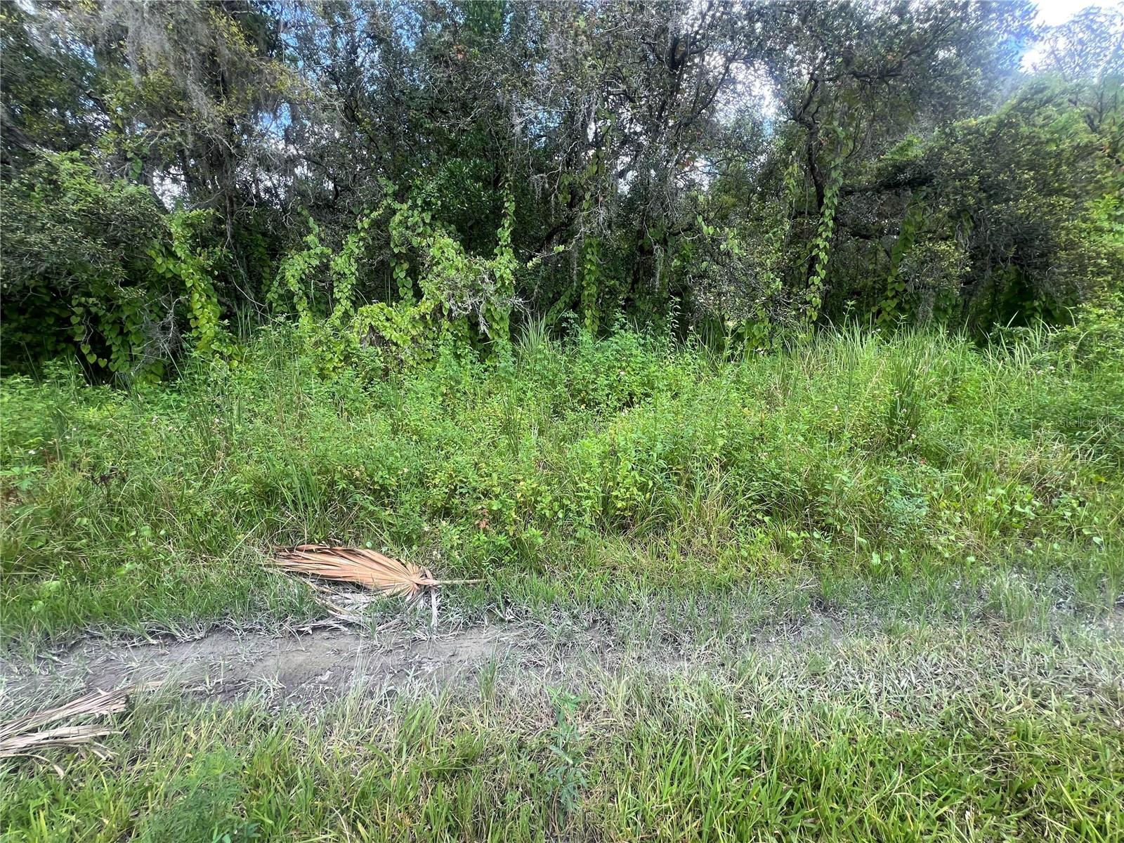 0 LADD AVE, NEW PORT RICHEY, FL, 34654