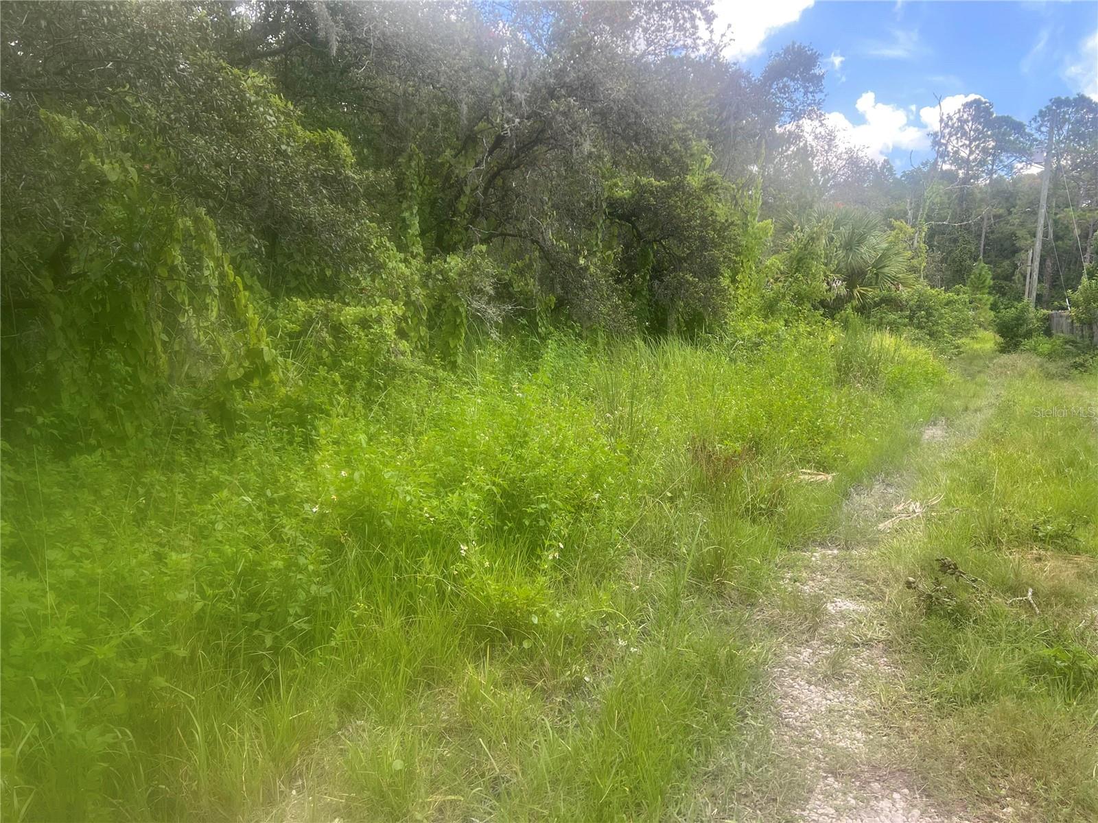 0 LADD AVE, NEW PORT RICHEY, FL, 34654