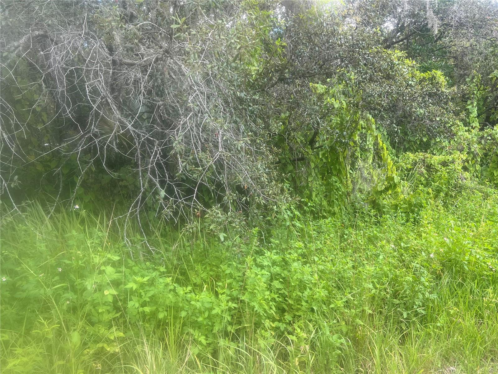 0 LADD AVE, NEW PORT RICHEY, FL, 34654