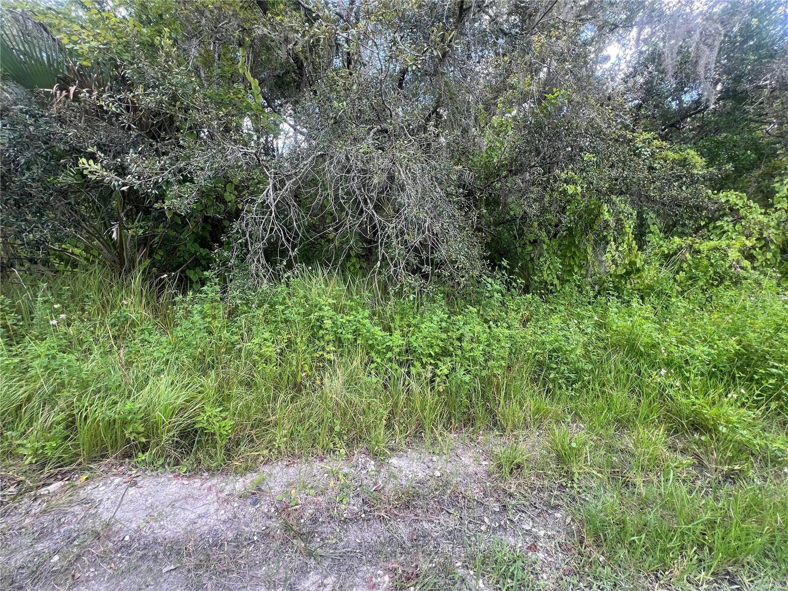 0 LADD AVE, NEW PORT RICHEY, FL, 34654